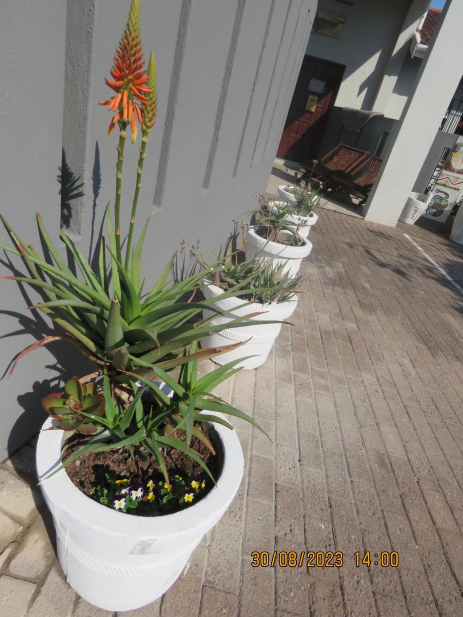 Beachcomber Bay Guest House In South Africa Margate Eksteriør bilde