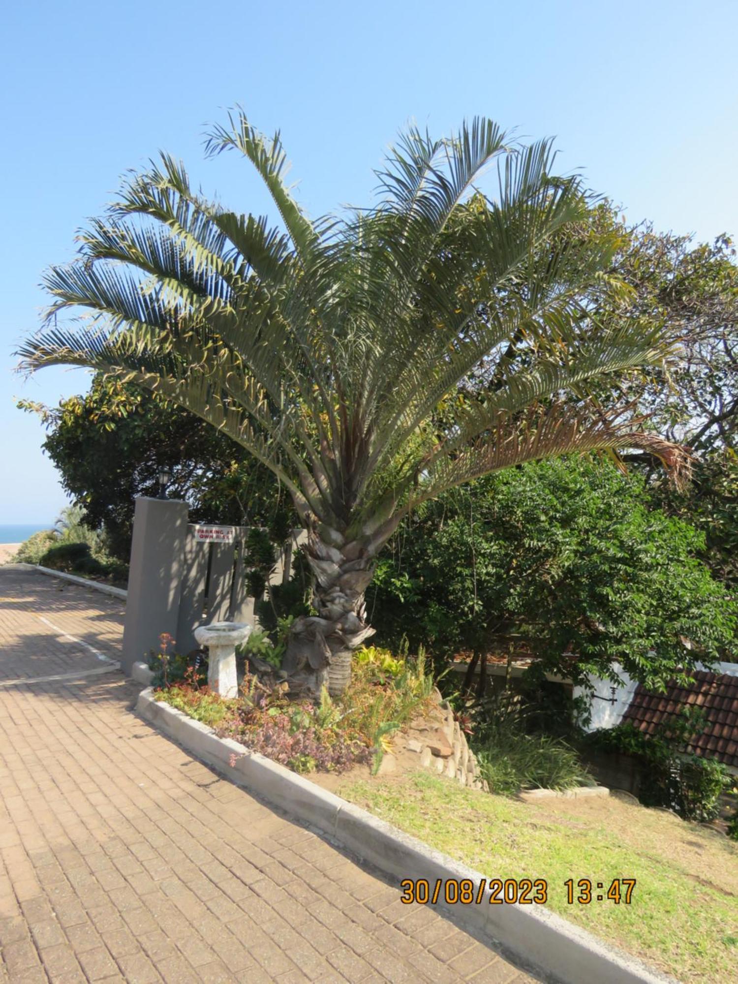 Beachcomber Bay Guest House In South Africa Margate Eksteriør bilde